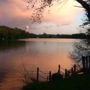 Meet your Posher, Darcy